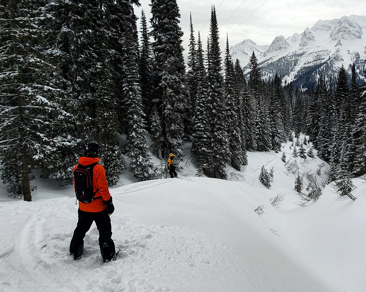 Two people hiking through a snowy forest with mountains in the background