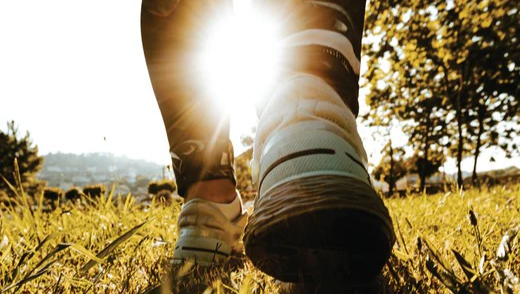 The early morning sun bursts between the calves of a white sneaker wearing walker. 