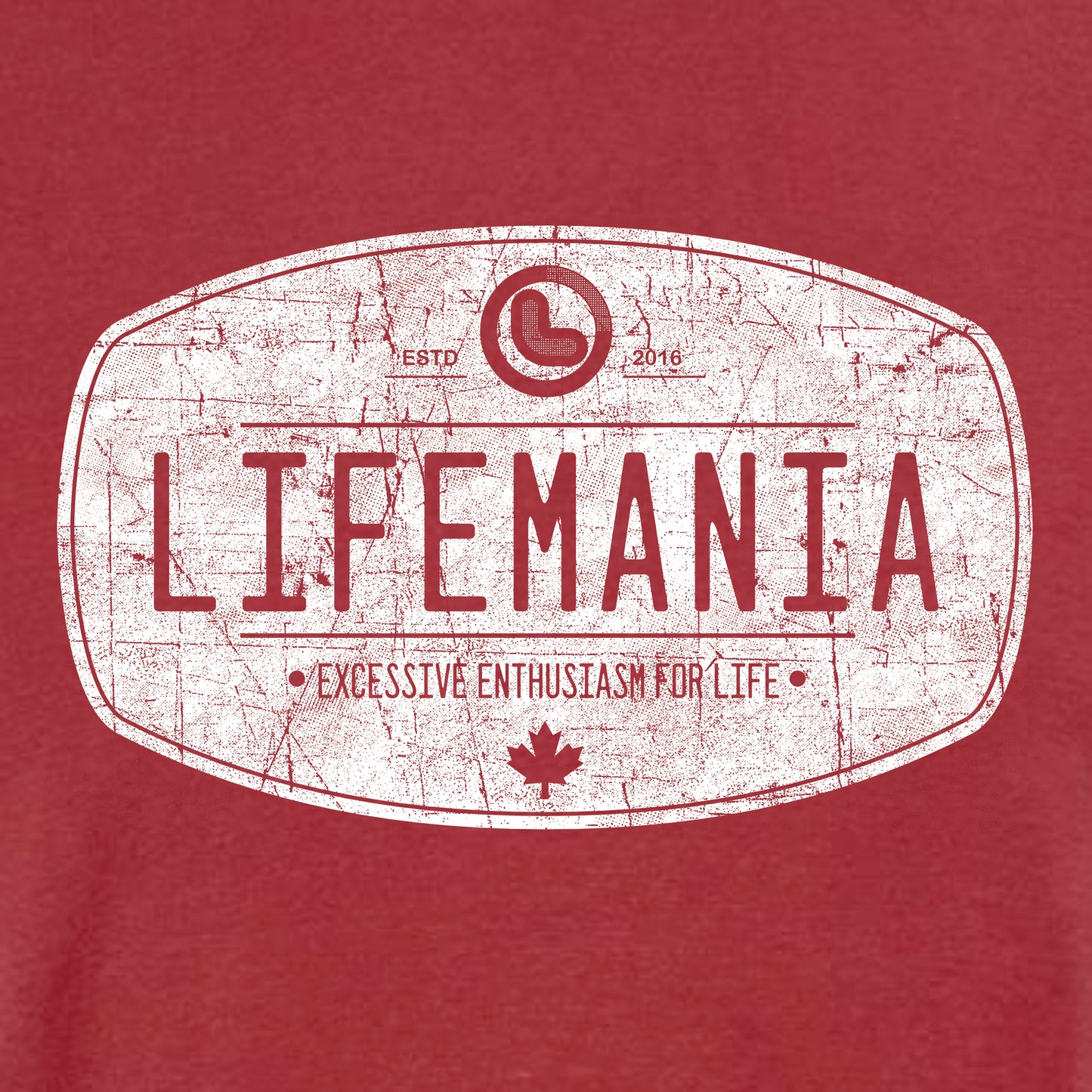 Lifemania vintage distressed oval design garment dyed t-shirt